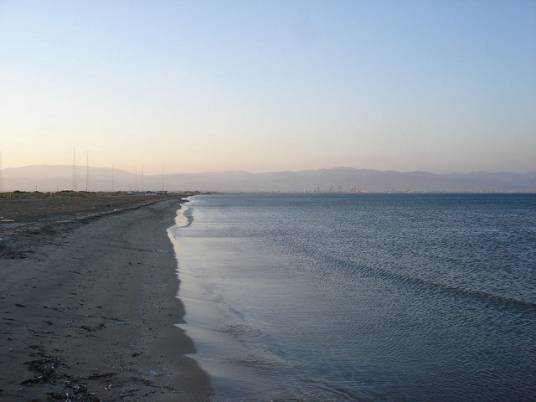 Lady's mile beach